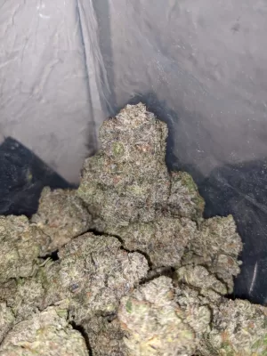 AK 47 Hybrid Weed | AK-47 Buds | Buy ak 47 Strain Online