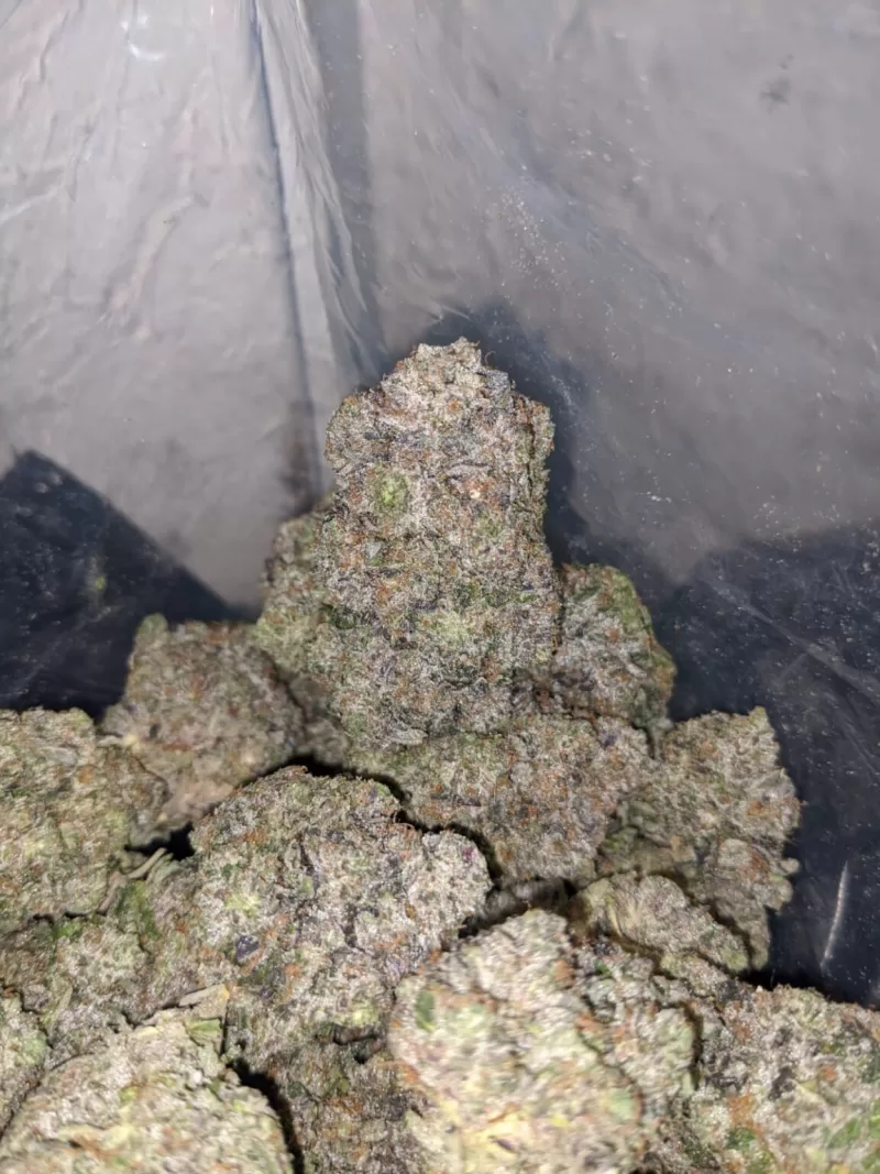 AK 47 Hybrid Weed | AK-47 Buds | Buy ak 47 Strain Online