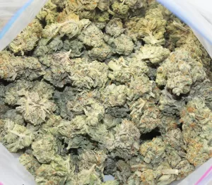 Alien og Marijuana Strain | Alien og Weed Strain | Alien Kush Strain