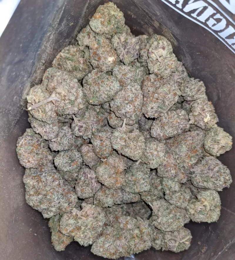 Amnesia Marijuana strain | Buy Amnesia haze | Amnesia Weed