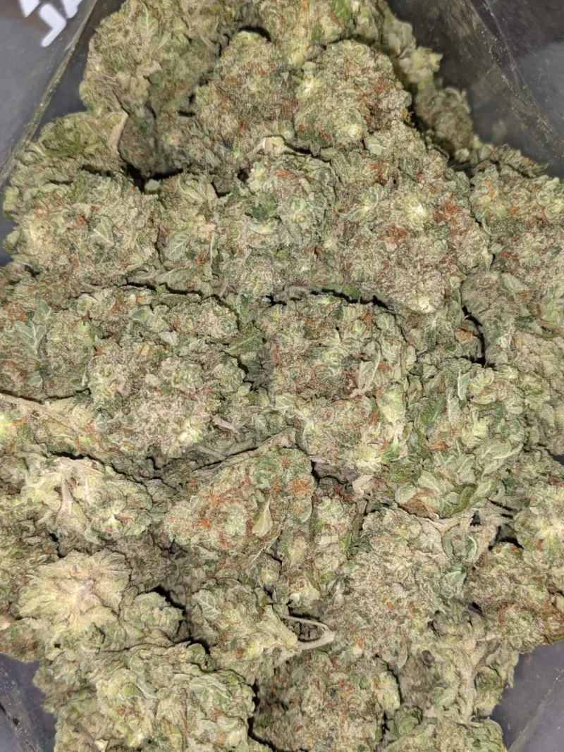 Blue Dream Exotic Weed | Blue Dream Strain for Sale