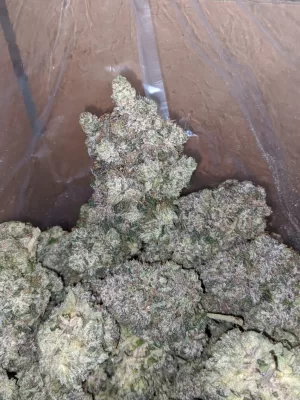 Bruce banner strain