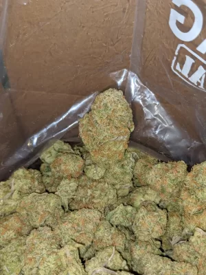 Marijuana Strain Cherry Pie | Cherry Pie Strain For Sale