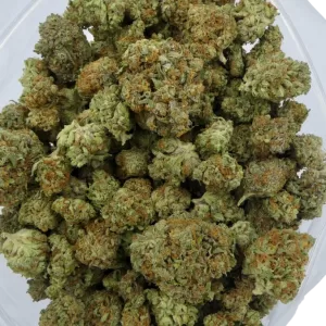 Critical Kush weed strain