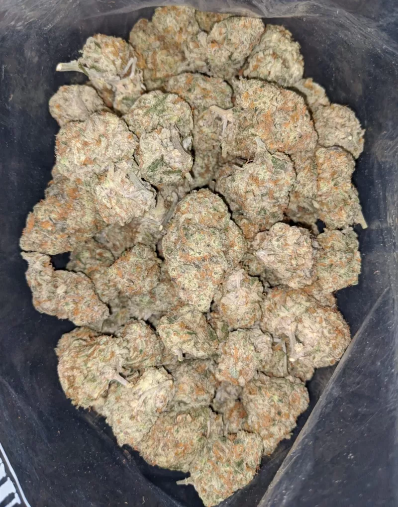 Florida Cake Weed | Florida Kush Strain | Jungle Boys Florida cake