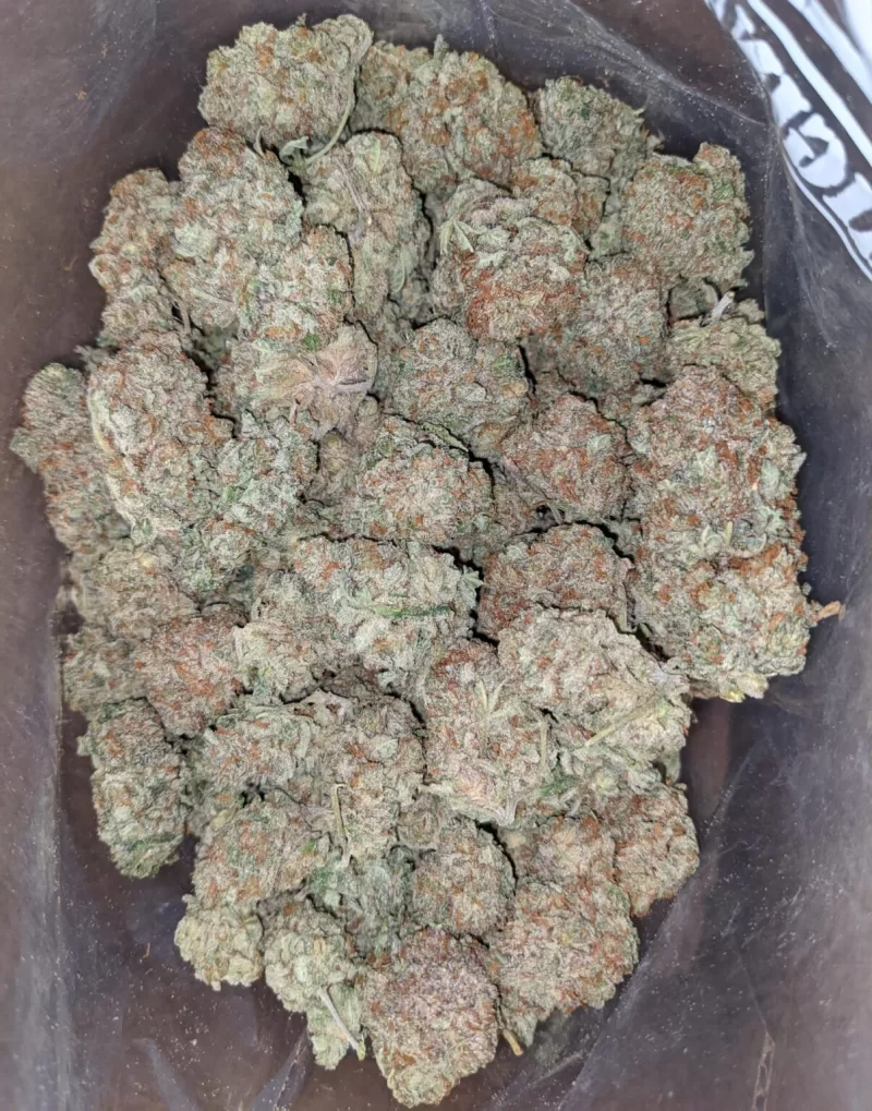 Gorilla glue 4 strain | gorilla glue 4 for sale | buy gorilla glue 4 online