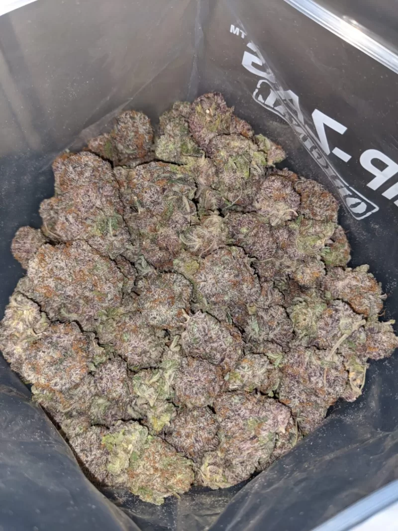 Granddaddy Purple Bud | Buy Granddaddy Purple | GPD Marijuana