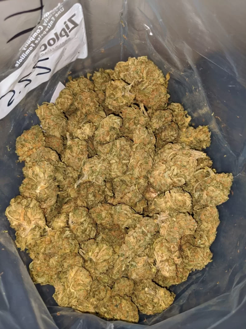 Harlequin Weed Strain