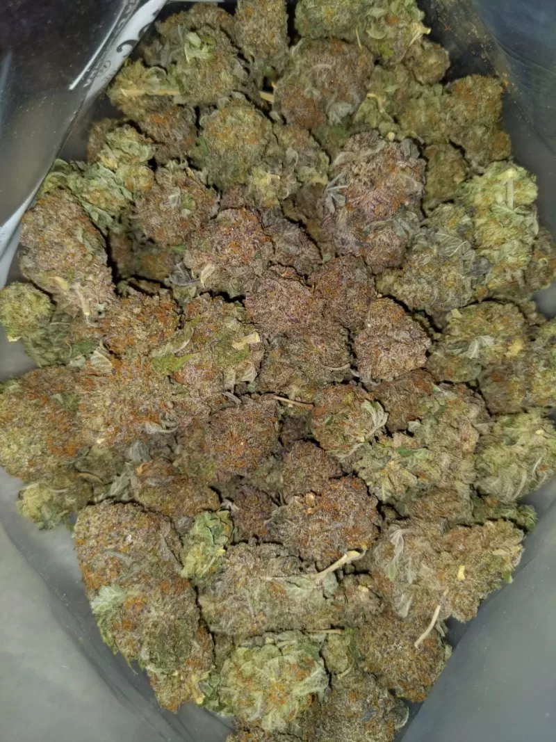 Lavender haze weed