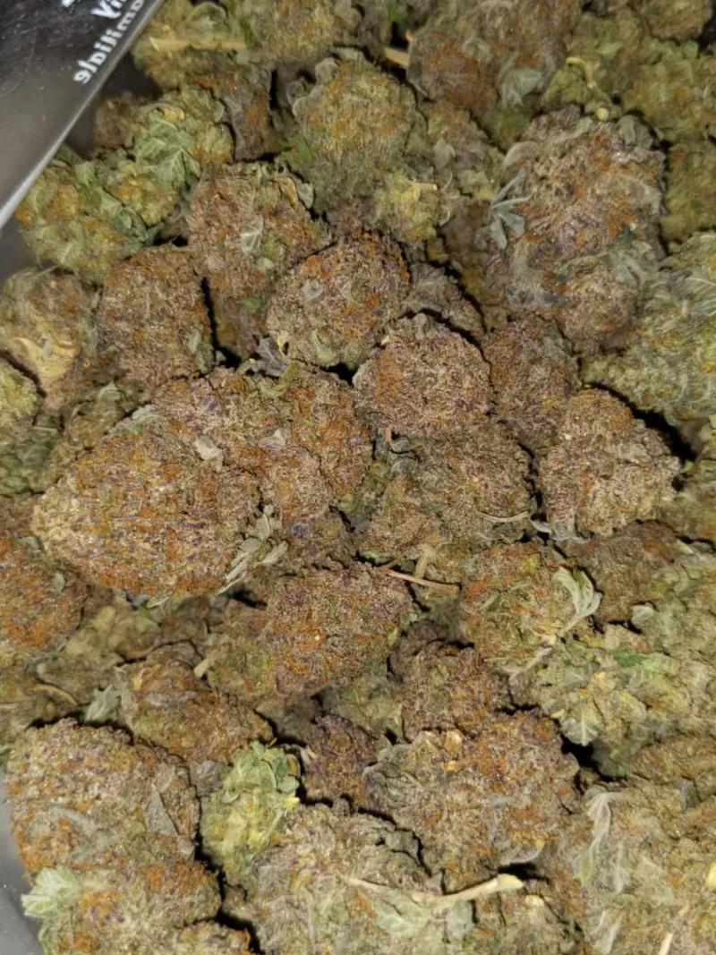 Lavender haze weed