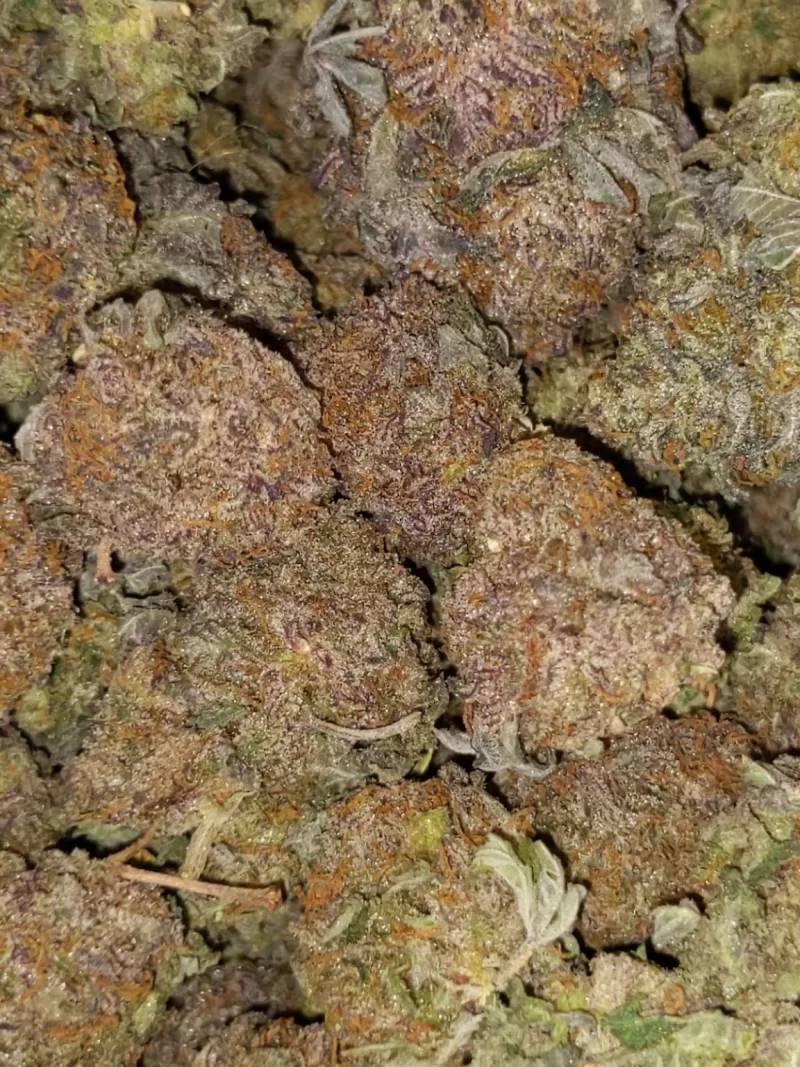 Lavender haze weed