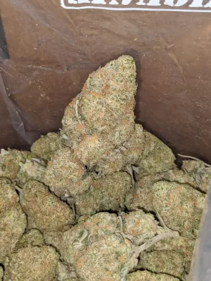 Mango Kush Weed Strain | Mango Marijuana Strain | Mango Kush