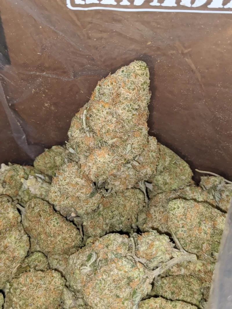 Mango Kush Weed Strain | Mango Marijuana Strain | Mango Kush