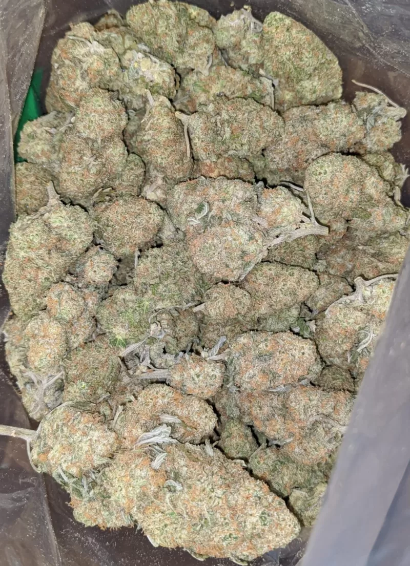 Mango Kush Weed Strain | Mango Marijuana Strain | Mango Kush