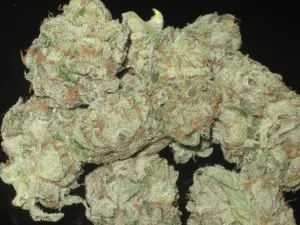 Moonwalker kush Weed