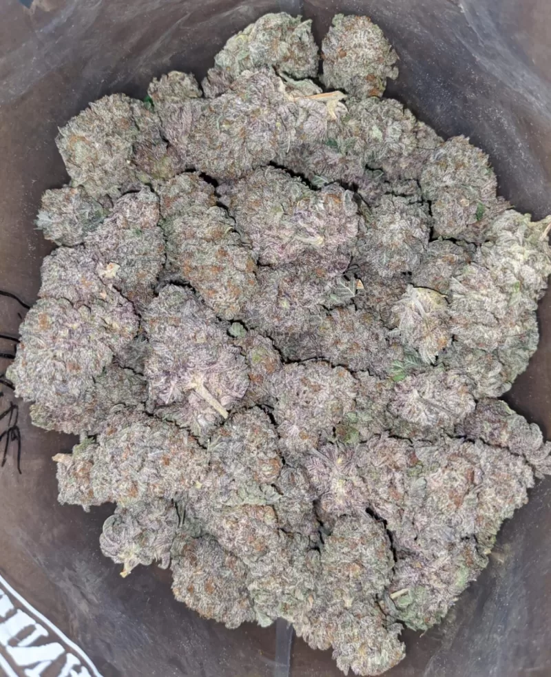 Super Purple Haze Strain | Purple Haze Weed for Sale
