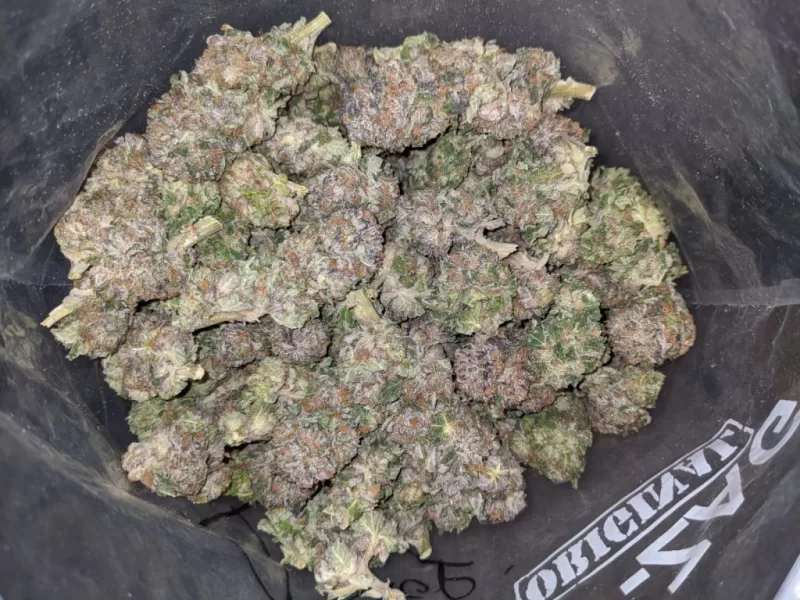 purple lemon haze strain