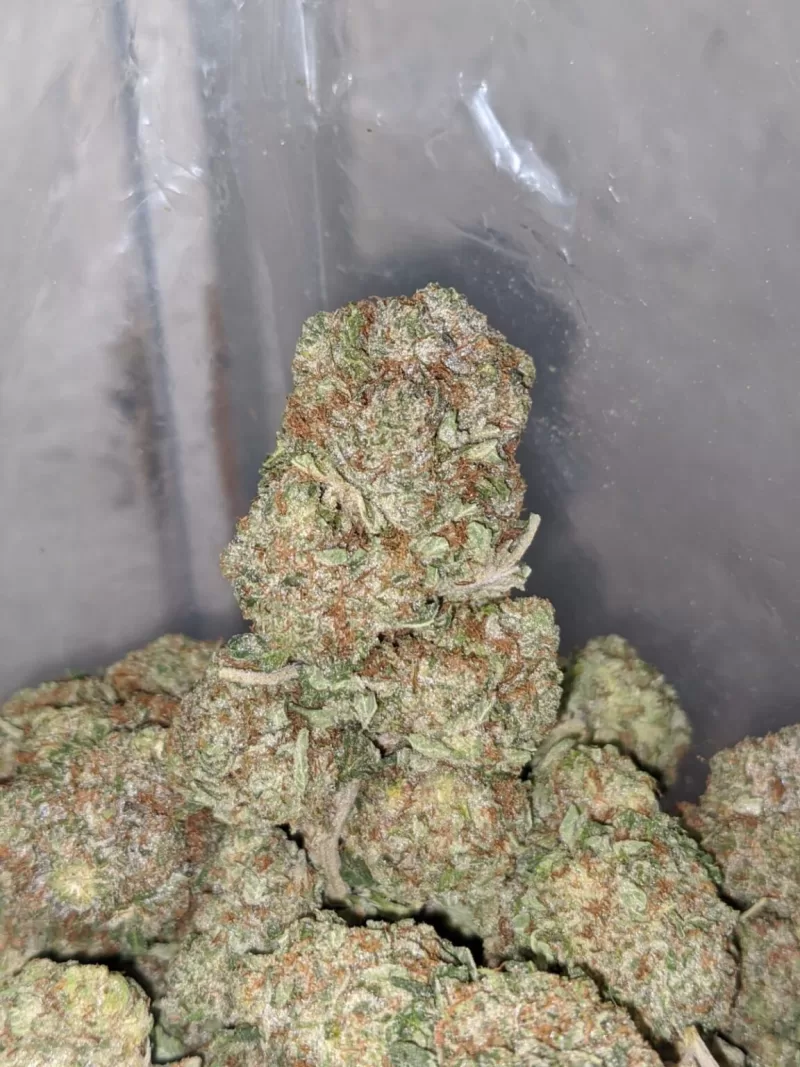 Sensi Star Weed | Buy Sensi Star Kush | Sensi Star cannabis strain