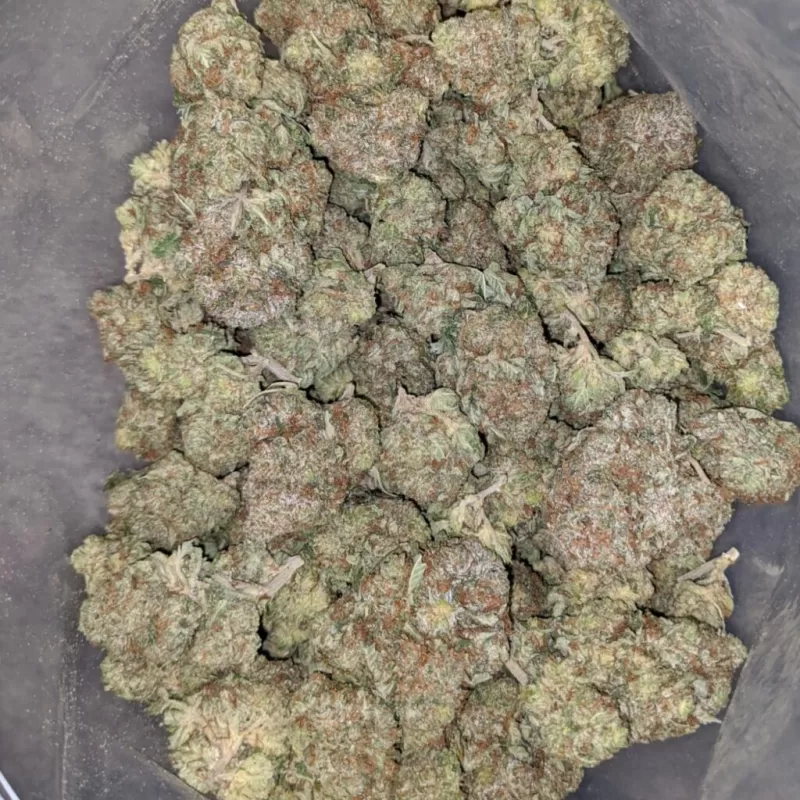 Sensi Star Weed | Buy Sensi Star Kush | Sensi Star cannabis strain