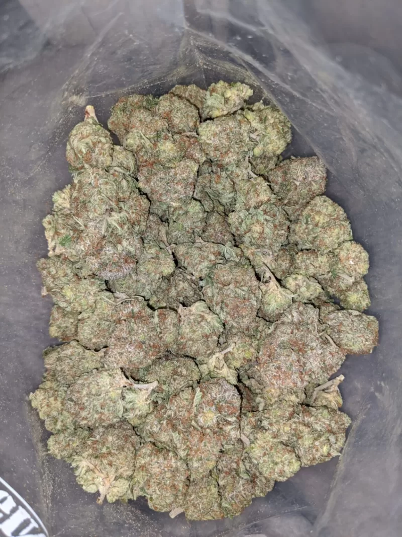 Sensi Star Weed | Buy Sensi Star Kush | Sensi Star cannabis strain