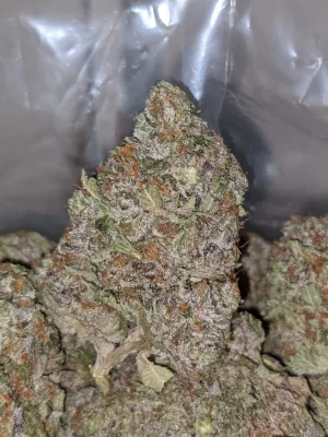 Skywalker Exotic | Skywalker Bud | Skywalker Cannabis Strain