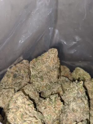 Sour Diesel Exotic | Sour Diesel cannabis strain | Sour Diesel weed