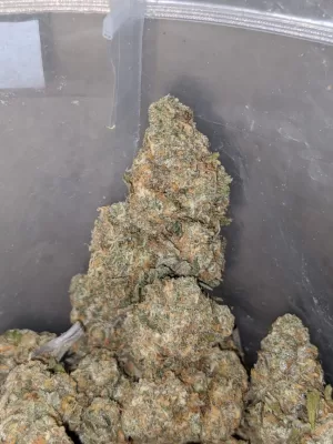 Strawnana Weed | Strawberry Banana Marijuana