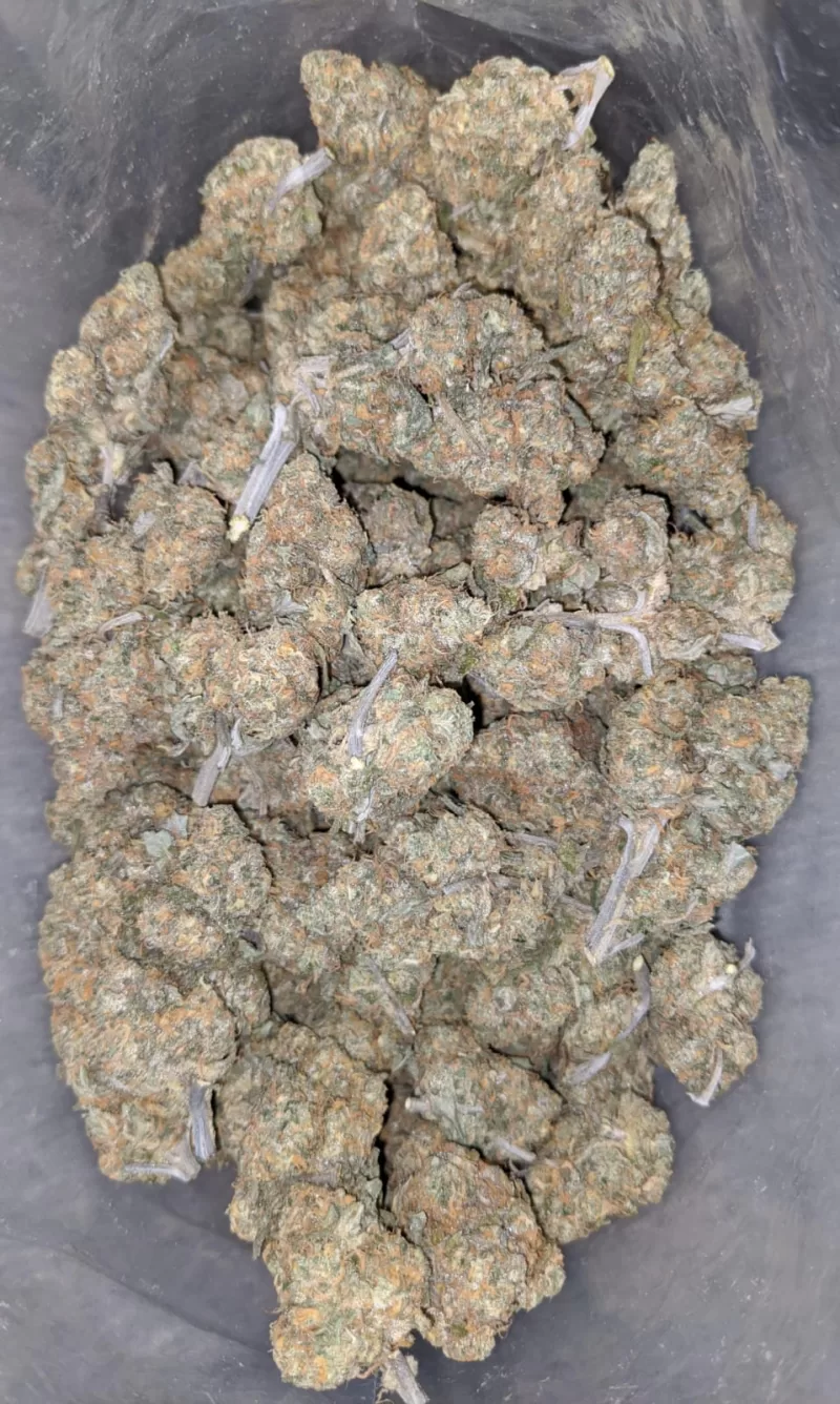 Strawnana Weed | Strawberry Banana Marijuana