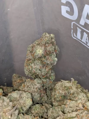 Super Silver Haze Marijuana | Buy Super Silver Haze Online