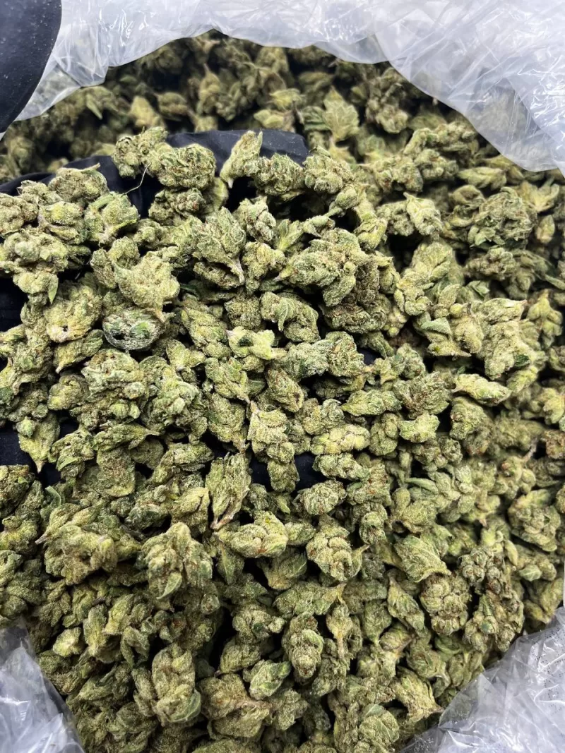 Sexxpot Weed Strain | Sexxpot Strain | Sexxpot | Sexxpot for sale