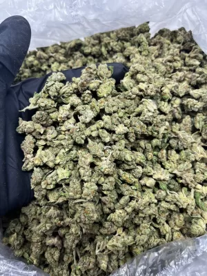 Sexxpot Weed Strain | Sexxpot Strain | Sexxpot | Sexxpot for sale