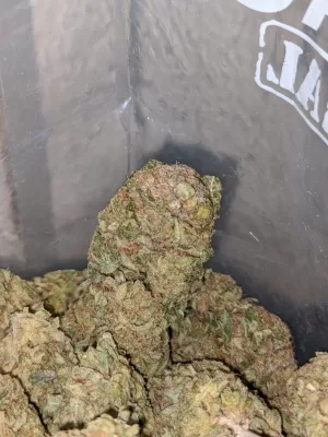 Aurora Kush Strain | Aurora Weed | Buy Aurora Weed Online