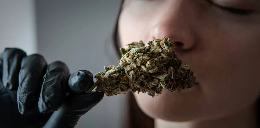 cannabis cure and headaches solution
