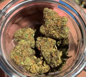 Cereal Milk Bud Strain | Cereal Milk Cannabis Strain
