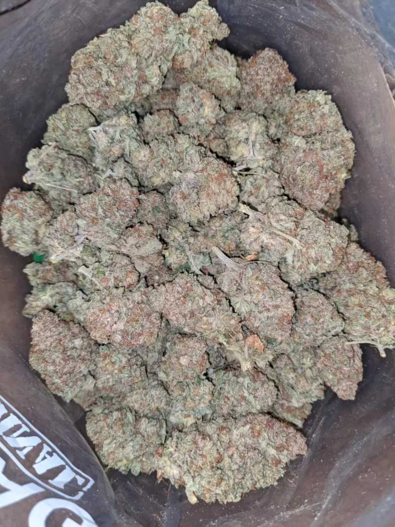 Chemdawg Hemp | Chemdawg Bud | Buy chemdawg Weed Online