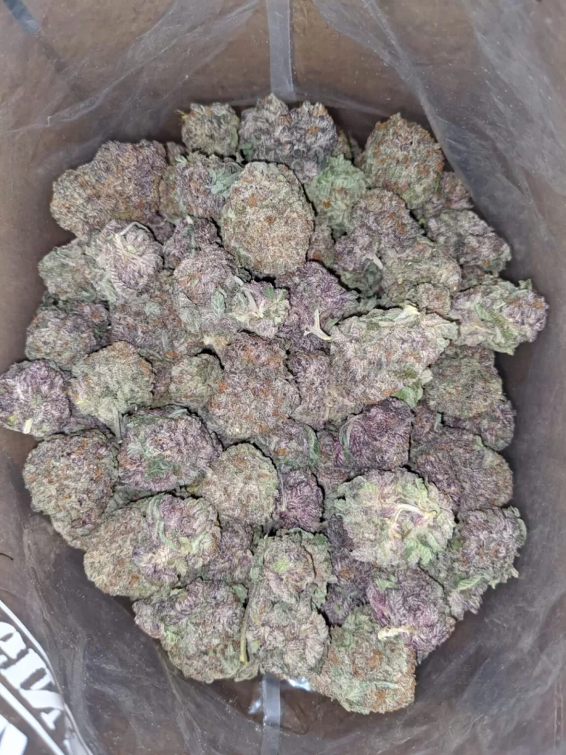 Durban Poison Weed Strain