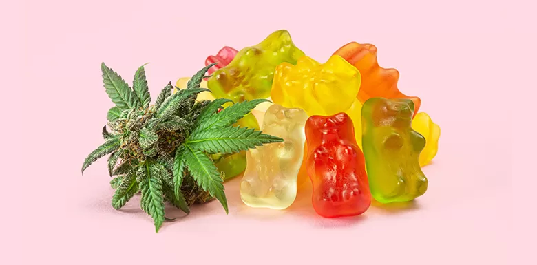 What Are Cannabis Edibles’ Side Effects?