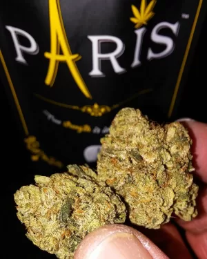 Paris og Weed Strain