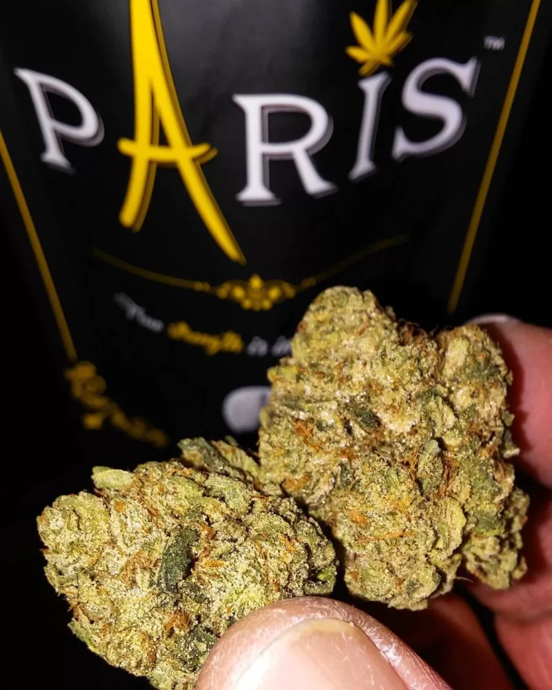 Paris og Weed Strain
