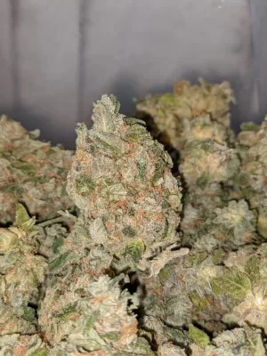 Super Sour Diesel Weed