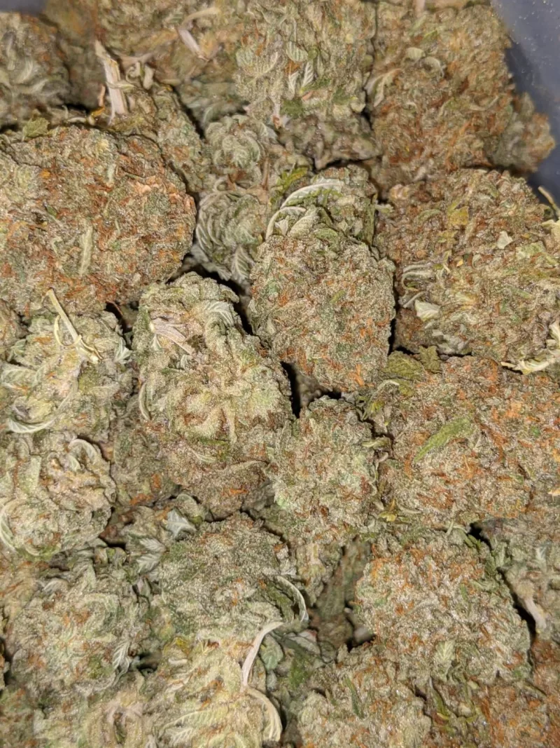 XXX OG Strain- XXX Weed Strain- XXX OG Weed Strain