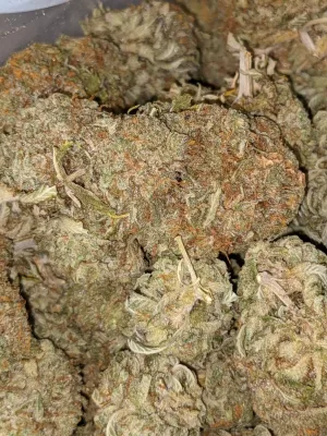 XXX OG Strain- XXX Weed Strain- XXX OG Weed Strain