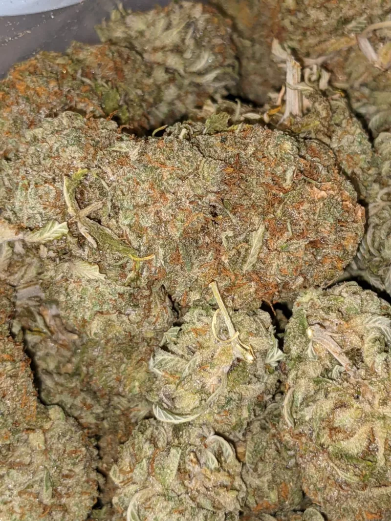 XXX OG Strain- XXX Weed Strain- XXX OG Weed Strain